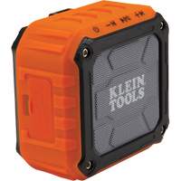 Haut-parleur sans fil pour chantier (outil seulement), Lithium-ion NTL Industrial