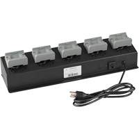 USB Haz-Lo&reg; Headlamp Bank Charger NTL Industrial