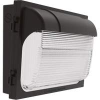 TWX Wall Luminaire, LED, 480 V, 9 W - 54 W, 14" H x 18" W x 5" D XI974 | NTL Industrial