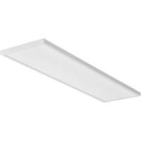 CPANL Flat Panel Ceiling Light XI993 | NTL Industrial