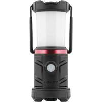 EAL13 Emergency Area Lantern NTL Industrial