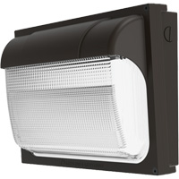 Contractor Select™ TWX ALO Adjustable Light Output Wall Pack, LED, 120 - 277 V, 54 W, 9" H x 13" W x 4.5" D XJ024 | NTL Industrial
