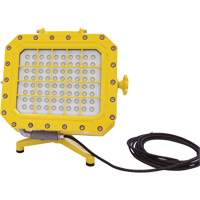 Explosion Proof Floodlight with Floor Stand, LED, 40 W, 5600 Lumens, Aluminum Housing XJ043 | NTL Industrial