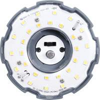 Ampoule HID LEDVance, Maïs, 54 W, 8100 lumens, base EX39 XJ214 | NTL Industrial