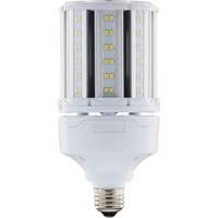 Ampoule HID de remplacement sélectionnable ULTRA LED<sup>MC</sup>, E26, 18 W, 2700 lumens XJ275 | NTL Industrial