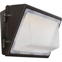 Non-Cutoff Wall Pack, LED, 120 - 277 V, 75 - 110 W, 9.33" H x 6.65" W x 14.5" D NTL Industrial