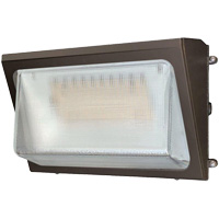 Wall Pack Light Fixture, LED, 120 -347 V, 40 W NTL Industrial
