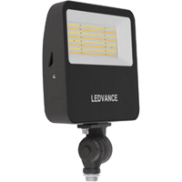 Flood Light NTL Industrial