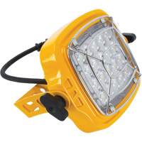 7000 Lumen 50 W Docking Light Head NTL Industrial