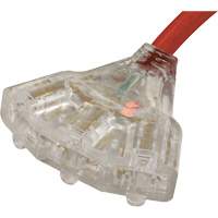 Generator Extension Cord with Tritap, STW, 10 AWG, 3 Outlet(s), 25' NTL Industrial