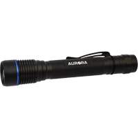 IPX7 Flashlight, LED, 250 Lumens, AA Batteries NTL Industrial