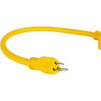 Extension Power Adapter, Outdoor, STOW, 12/3 AWG, 15 A, 3 Outlet(s), 2' NTL Industrial