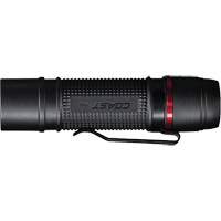 Lampe de poche &agrave; deux modes d'optique PX9, DEL, 750 lumens, Piles AAA NTL Industrial