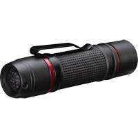 Lampe de poche &agrave; deux modes d'optique PX9, DEL, 750 lumens, Piles AAA NTL Industrial