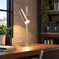 Lampe de table en m&eacute;tal avec diffuseur acrylique FR, 6 W, DEL, Col 19-3/4", Chrome satin&eacute; NTL Industrial